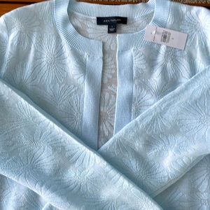 Ann Taylor sweater